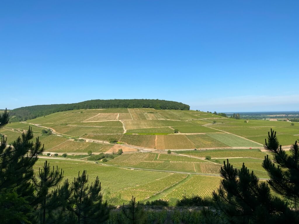 Domaine Maldant – Pauvelot (Bourgogne) & Domaine du Tau (Lirac)